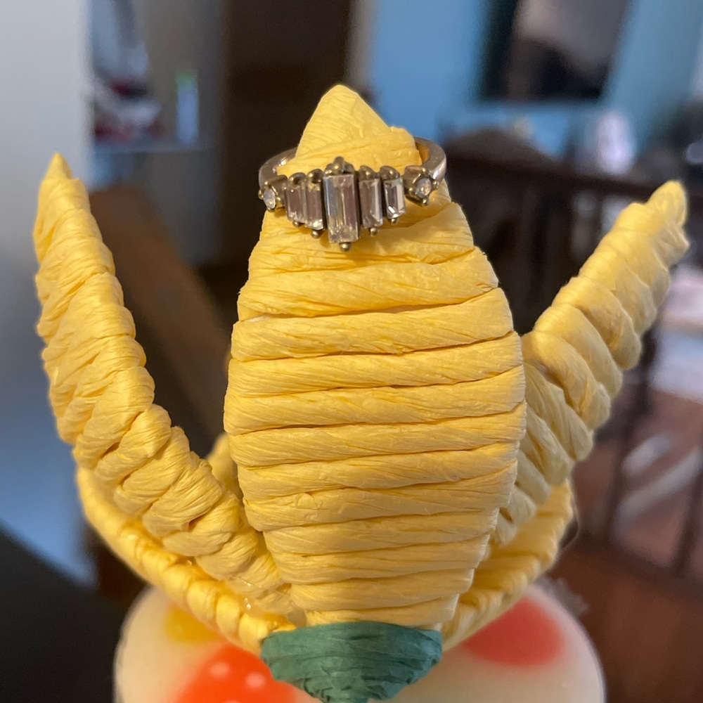 Chloe + Isabel Ring